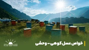 خواص عسل کوهی