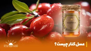 عسل کنار چیست