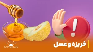 خربزه و عسل