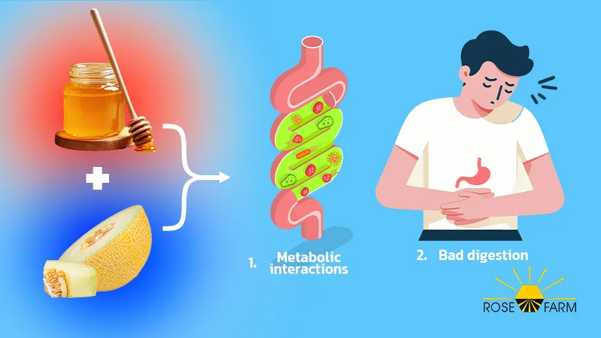 تداخل‌های متابولیکی بخاطر خوردن خربزه و عسل