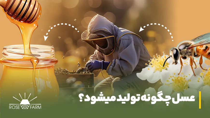 عسل چگونه تولید میشود