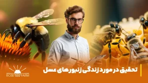 زندگی زنبورهای عسل