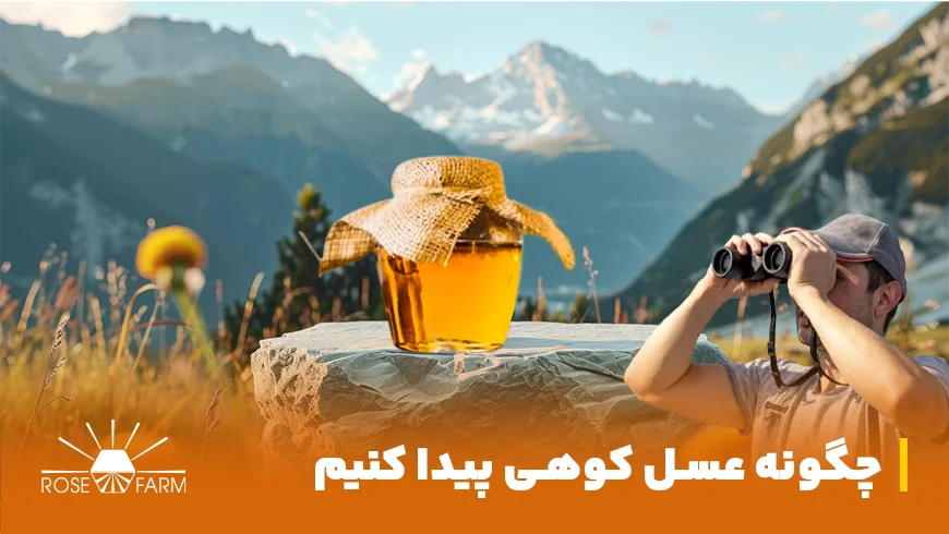 چگونه عسل کوهی پیدا کنیم + نکات مهم