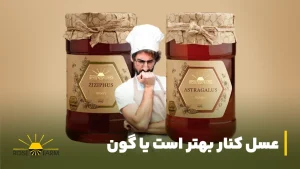 عسل کنار بهتر است یا گون