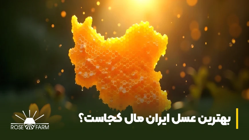 بهترین عسل ایران