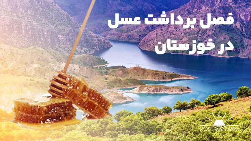 فصل برداشت عسل در خوزستان